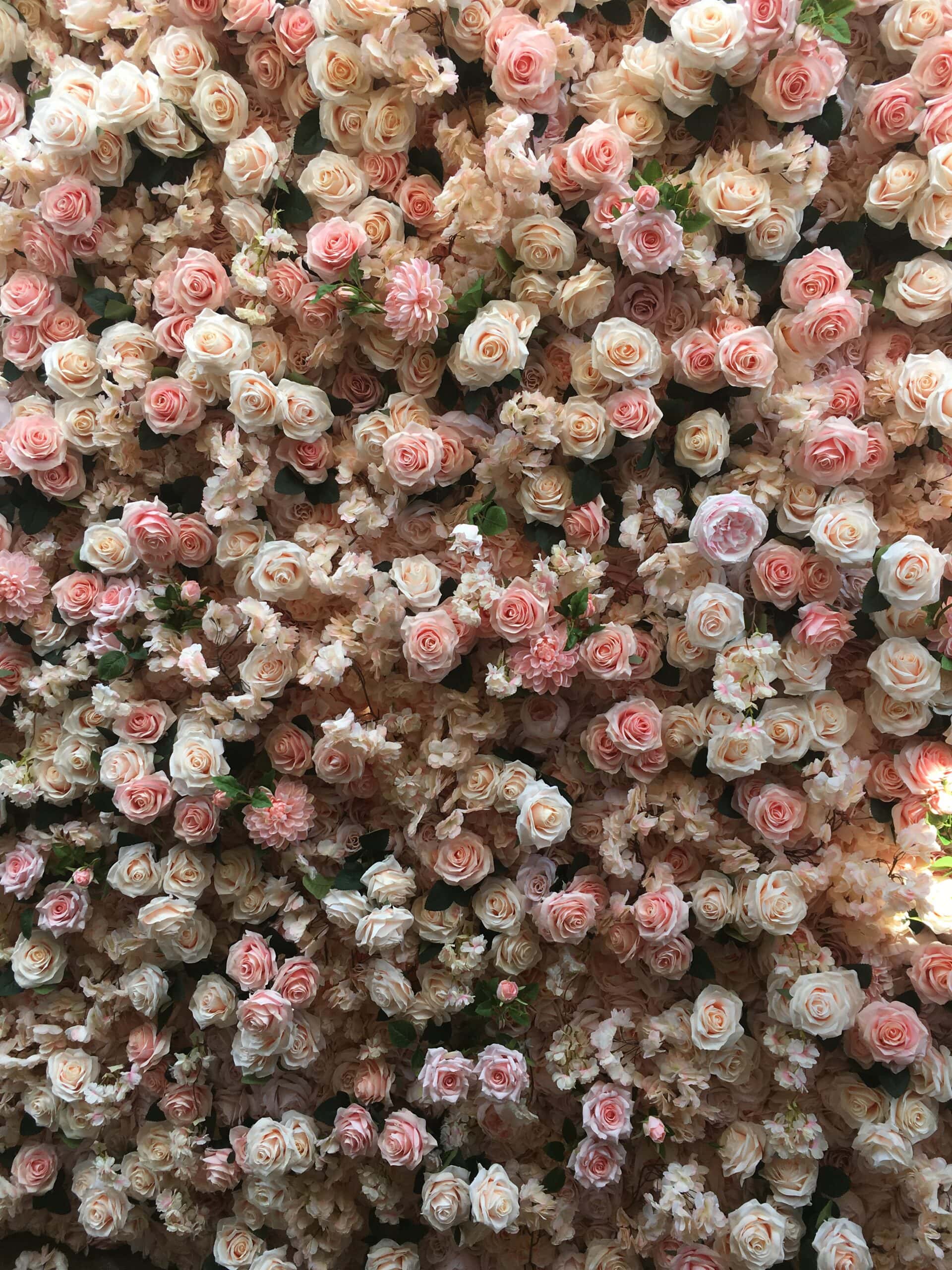 A lush, dense wall of blooming roses in various shades of pink and white. The flowers are tightly packed, creating a rich and textured backdrop. The hues range from soft pastel pink to creamy white, with green leaves peeking through occasionally. - Flower Gypsies - Luxury Floral Design, Los Angeles CA